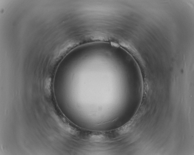 X0000088020066200705182011