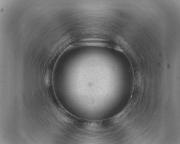 X0000088020074200705182011