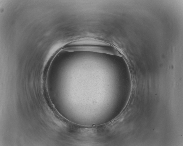 X0000088020102200705182010