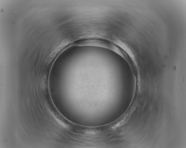 X0000088020105200705182010