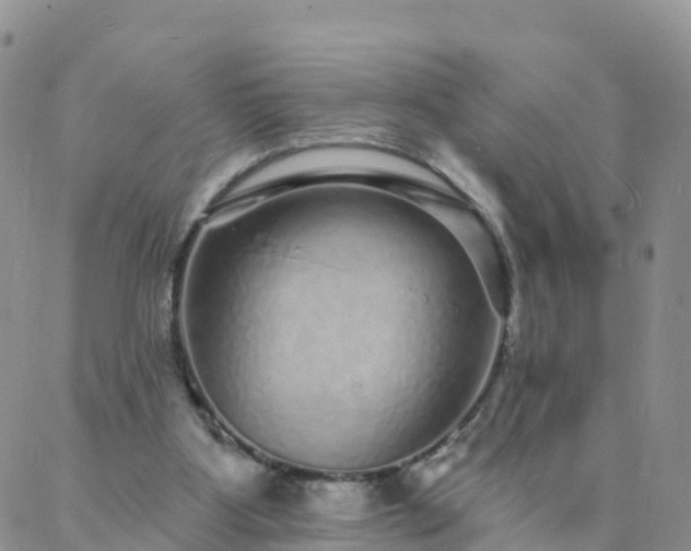 X0000088020107200705182010