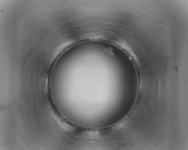 X0000088020110200705182010