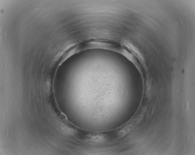 X0000088020113200705182010