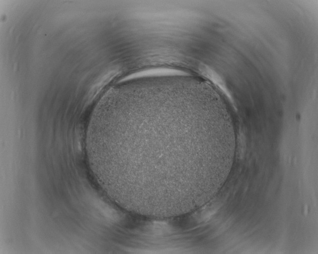 X0000088020114200705182010