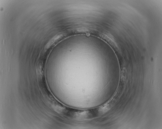 X0000088020116200705182010