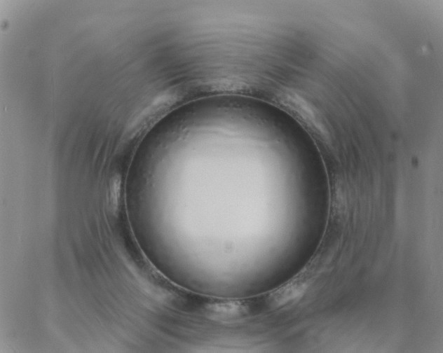 X0000088020118200705182010