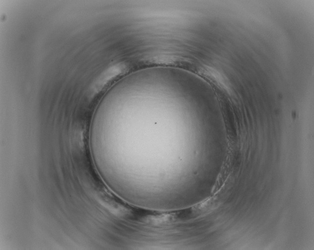 X0000088020120200705182010