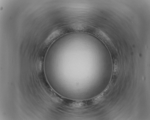 X0000088020124200705182010