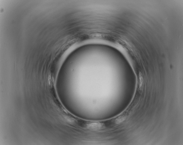 X0000088020125200705182010
