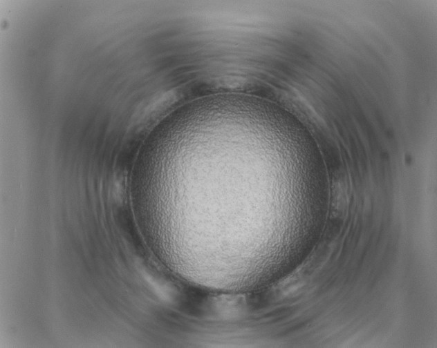 X0000088020126200705182010