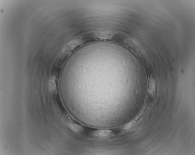 X0000088020128200705182010