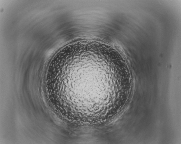 X0000088020145200705182009
