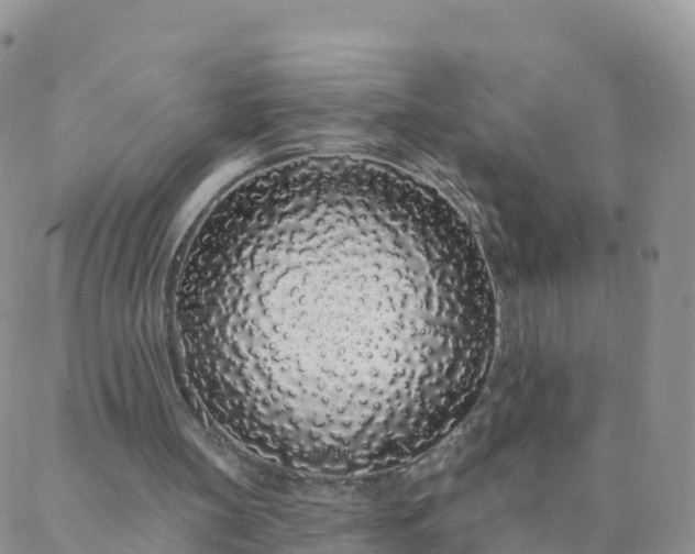 X0000088020147200705182009