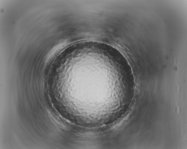X0000088020149200705182009