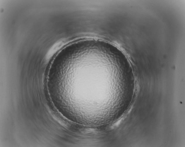 X0000088020151200705182009