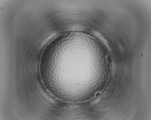X0000088020153200705182009