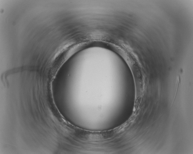 X0000088020154200705182009