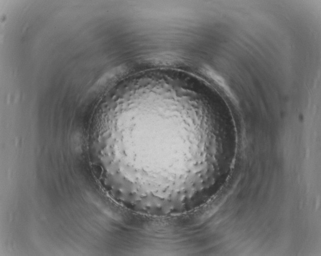 X0000088020161200705182009