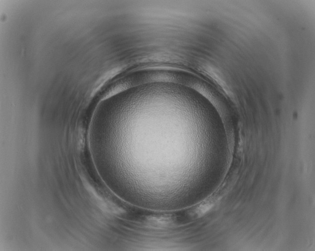 X0000088020164200705182009