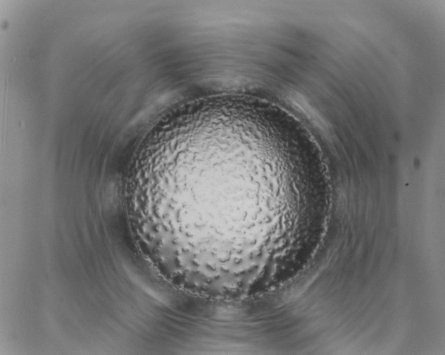 X0000088020165200705182009