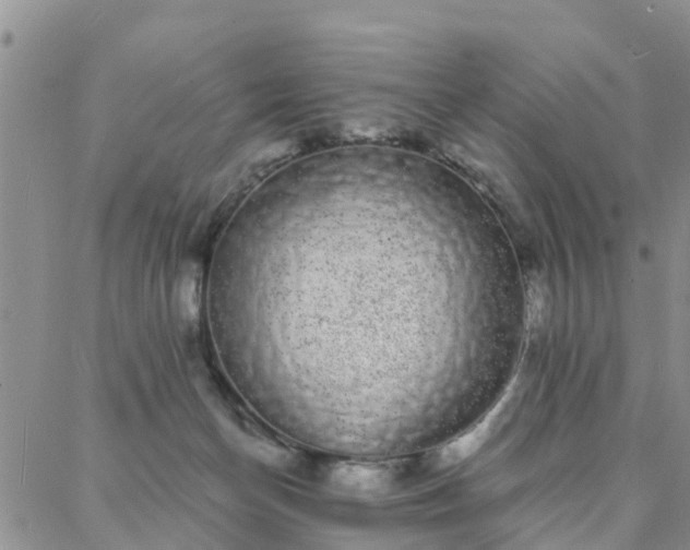 X0000088020174200705182009