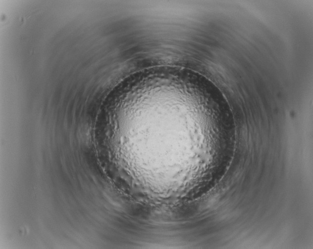 X0000088020177200705182009