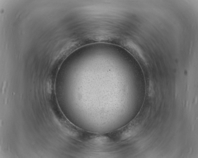 X0000088020210200705182009