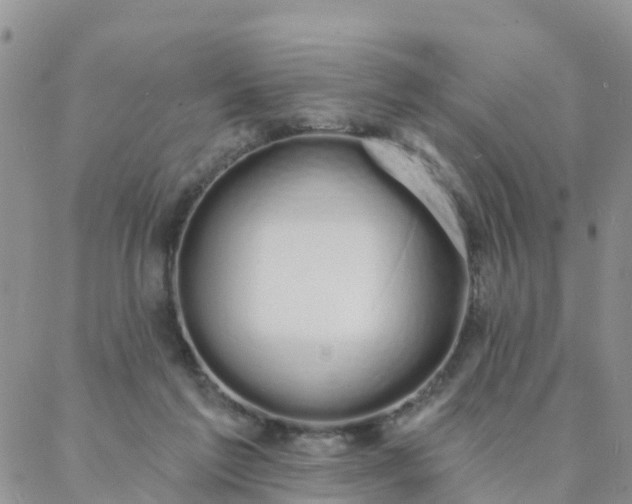 X0000088020213200705182008