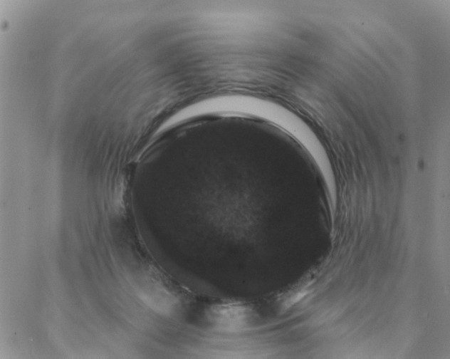 X0000088020219200705182008