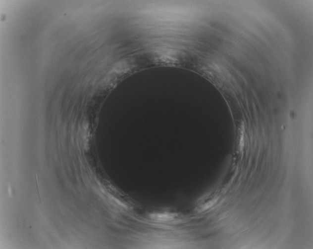 X0000088020223200705182008