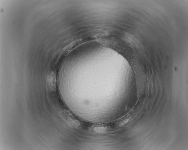 X0000088020228200705182008