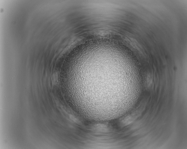 X0000088020236200705182008
