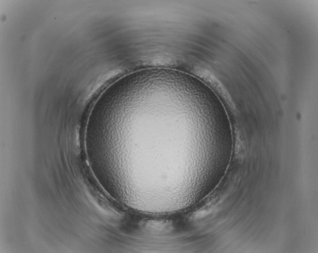 X0000088020251200705182007