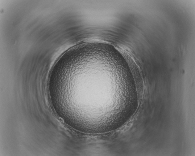 X0000088020289200705182007