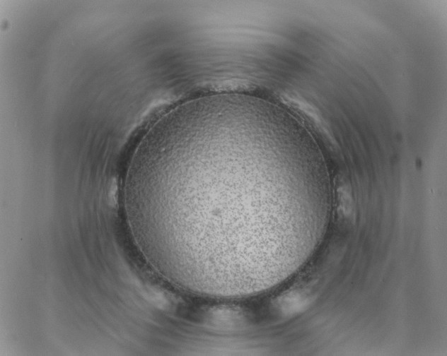 X0000088020308200705182007