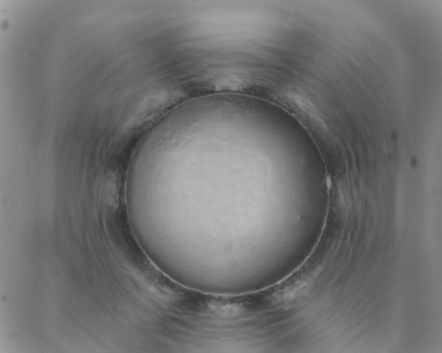 X0000088020311200705182007
