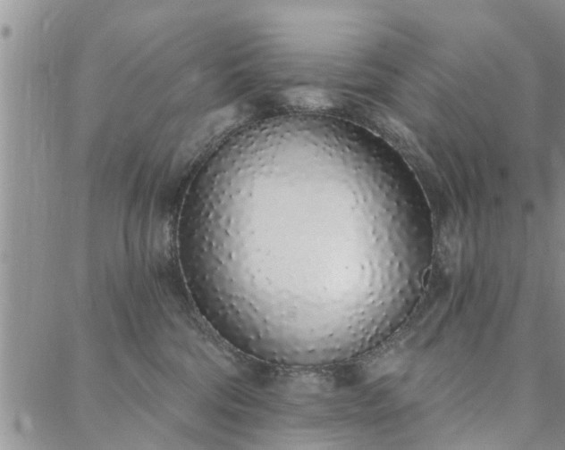 X0000088020330200705182007