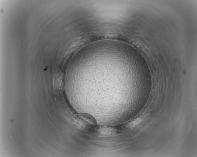 X0000088020336200705182006