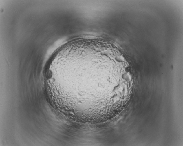 X0000088020343200705182006