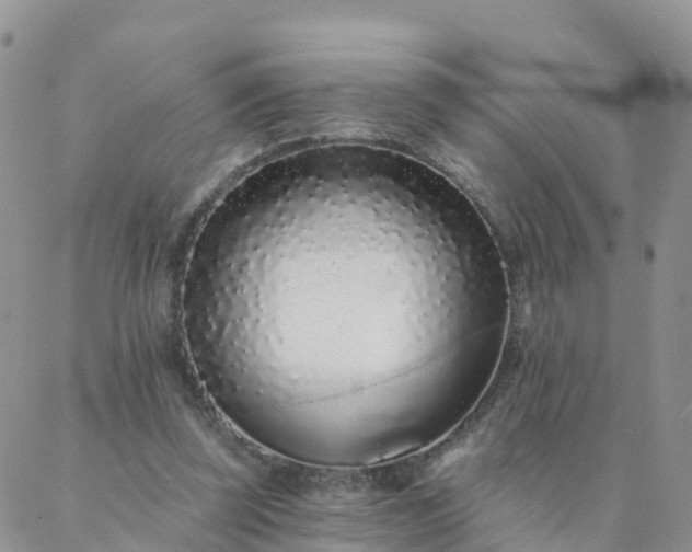 X0000088020347200705182006