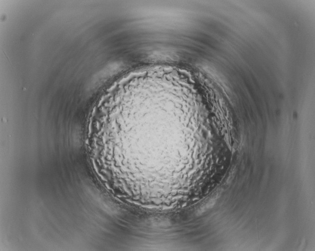 X0000088020353200705182006