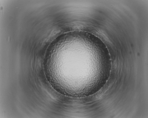 X0000088020363200705182006