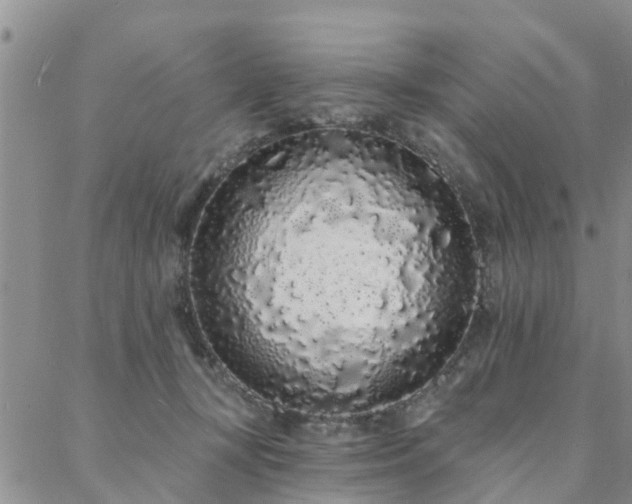 X0000088020367200705182006
