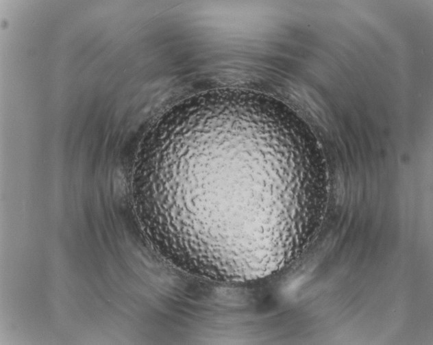X0000088020371200705182006