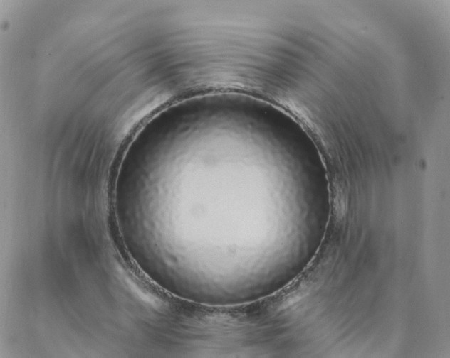 X0000088020390200705182006