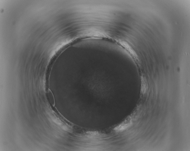 X0000088020391200705182006