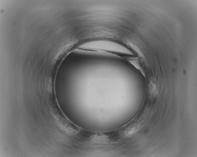 X0000088020403200705182005