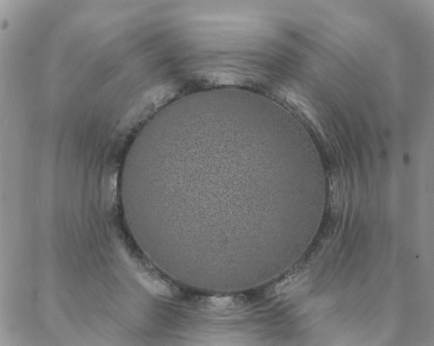 X0000088020406200705182005