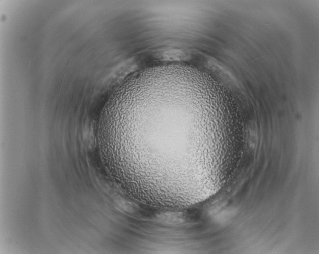 X0000088020422200705182005