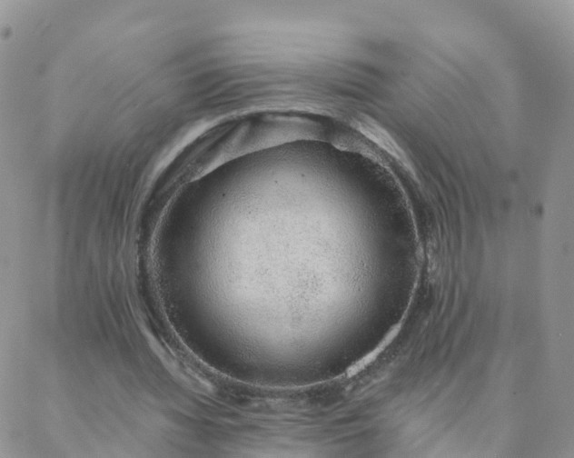 X0000088020436200705182004